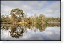 Oisterwijkse Bossen en Vennen Kampina natuurgebied natuur oisterwijk Nationaal park Landschap Het Groene Woud hei heide bossen natuurmonumenten brabant baronie boswachterij dorst